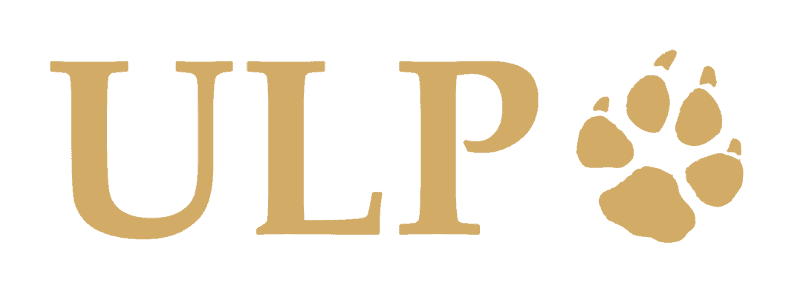 unleashing leadership potential